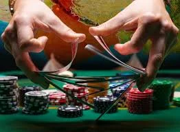 Ảnh minh họa P8BET – Cẩm nang P8BET – Cách theo dõi một phiên casino trực tuyến